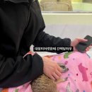 카페 프랜즈 | 홍대 소동물카페 미어캣프렌즈 다녀간 후기