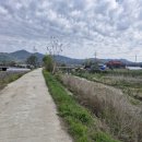 외리로-1 이미지