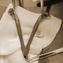 로이종합동물병원 이미지