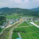 버들축산