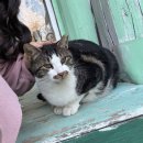 호야애견 | 고양이가 반겨주던 가든갤러리! 남양주 애견동반 맛집