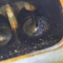 스피드메이트이케아고양점 이미지