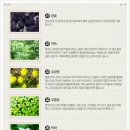 후후한의원 Daum카페