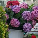 창대공인중개사사무소 이미지