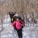 강릉대관령(강릉)휴게소 이미지