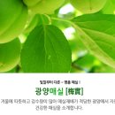 능성영농조합법인 이미지