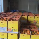 주하농장 이미지