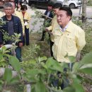 김영환농장 이미지