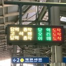 판교 만남 (토브나인판교 본점 , 가든서비스)