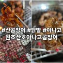 원조산호곰장어