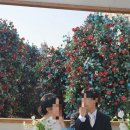 동백스튜디오 이미지