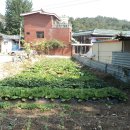 성자농장 이미지