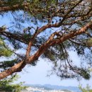 광바위펜션 이미지