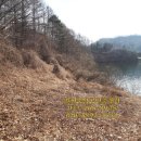 RED공인중개사사무소 이미지