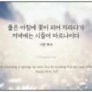 자라다 - 마포구 와우산로 83 | 자라다