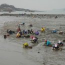 바위섬펜션 이미지