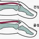새손병원 이미지