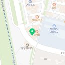 멍냥살롱 천안불당점 | 🐶 집중력과 기다림으로 완성된 멍냥스테이 반장선거 🙋🏻