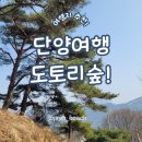 솔솔솔도토리숲 네이버블로그