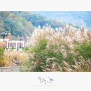 레드푸드 조각원 네이버블로그