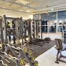 비비드짐 이미지