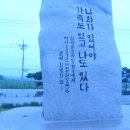 이웃스테이 Daum카페