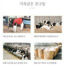 순영목장 | 순영목장 우리울타리 플레인 요구르트 건강한 요구르트