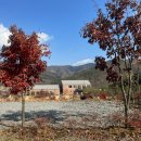 세이지힐 오토캠핑장 | [홍천 캠핑장 추천]아이들 데리고 가기 좋은,사이트 넓은 세이지힐 오토 캠핑장