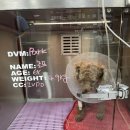 미소 동물병원 이미지