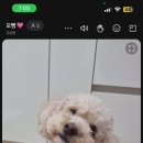 (주)라페니체 이미지