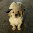 청평교회 앞 | 두쫀쿠