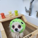 백설미용실 티스토리