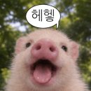 이월가마솥두부