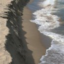 개발새발 이미지