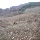 삼백농장 이미지