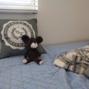 first-step Gym 이미지