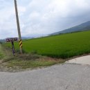 금강산공인중개사사무소 이미지