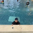 해비치수영장 이미지