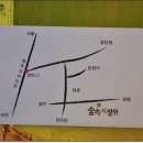 횡성한우명품떡갈비 이미지