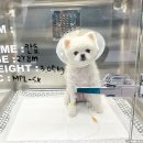 오션동물메디컬센터 이미지