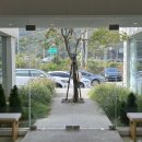 대전 계룡산 동학사 한식 맛집 해뜰, 카페 휘연 솔직후기