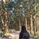 다인야영장 | 한라산 관음사 성판악 코스 초보자 후기ㅣ예약방법, 난이도, 준비물, 복장, 주차장