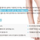 가메조네 이미지