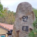 안태울캠핑장 이미지