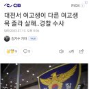 대전서 여고생이 다른 여고생 목 졸라 살해..경찰 수사 이미지