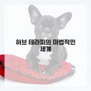 자연을 마시는 우리차 이미지