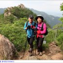 곡성-165 Daum카페