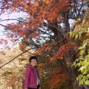 ♬ BEST LOVE SONGS EVER THE GREATEST ♬ ROMANTIC CLASSIC 이미지