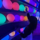 주식회사 폴에이산업 | 서울 성수 데이트 코스 추천 🌟 문도 픽사 전시회 후기 &amp; 데일리룩 (5월 데이트)