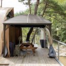 소나무세상 이미지